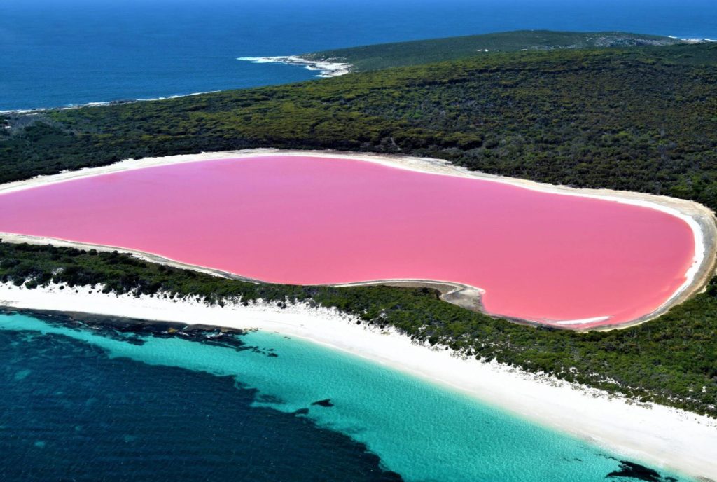 Spannende Rosa See Australien Bild