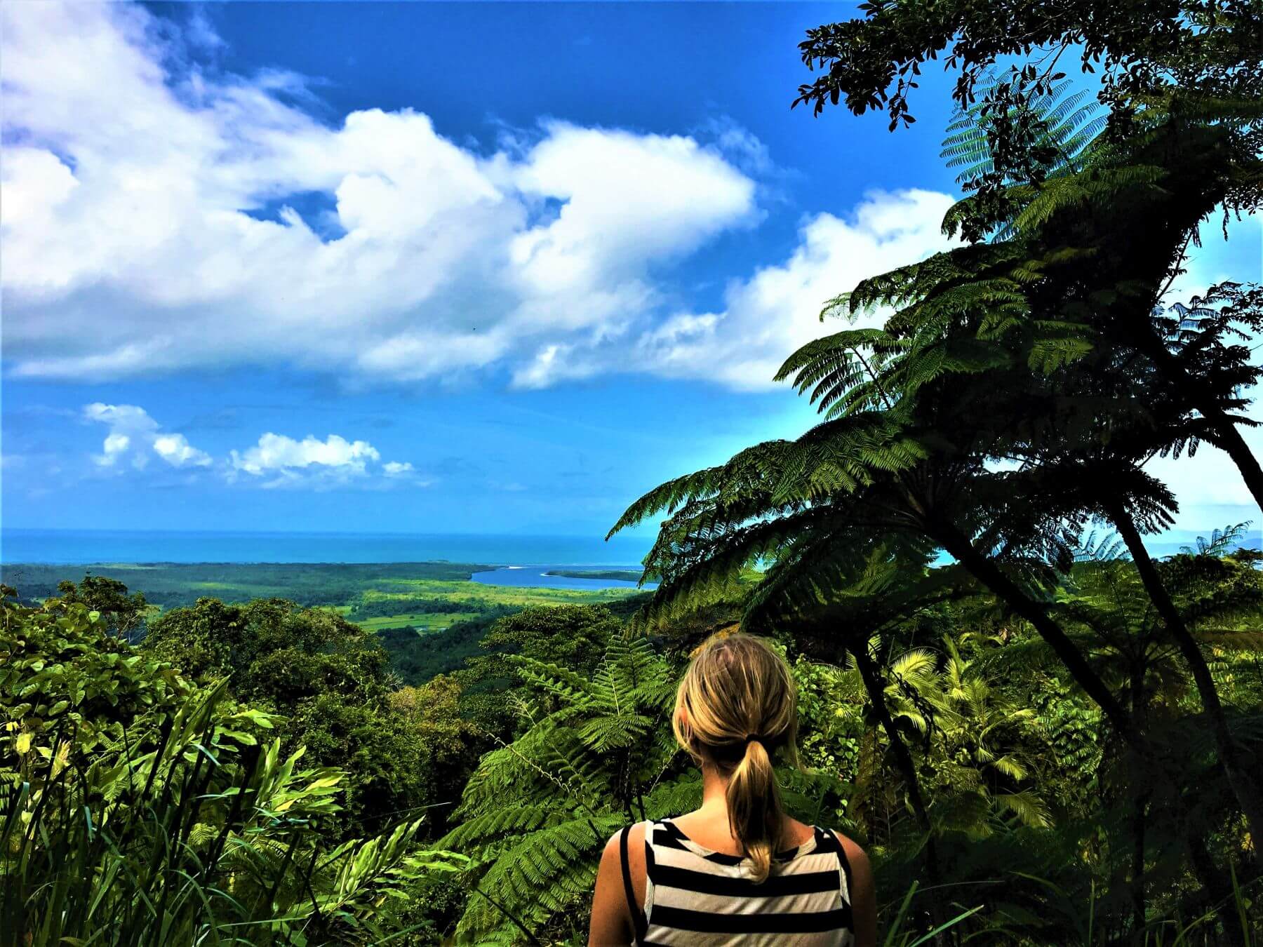 Daintree National Park Insider Tipps Und Die Top Highlights 8527