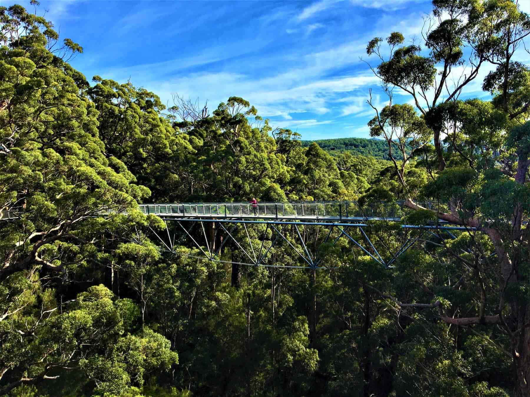 Walpole-Nornalup National Park - Atemberaubender Tree Top Walk!